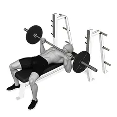 Barbell Bench Press demonstrated