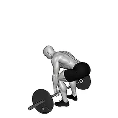 Barbell Deadlift demonstrated