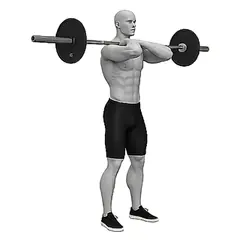 Barbell Front Squat demonstrated