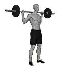 Barbell Squat demonstrated