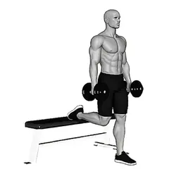 Bulgarian Split Squat demonstrated