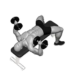 Dumbbell Bench Press demonstrated
