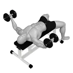Dumbbell Fly demonstrated