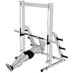 Inverted Row demonstrated