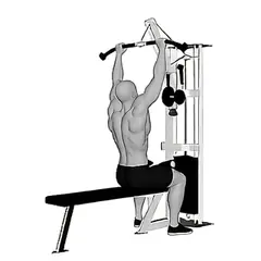 Lat Pulldown demonstrated