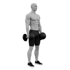 Dumbbell Lateral Raise demonstrated