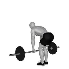 Barbell Romanian Deadlift demonstrated