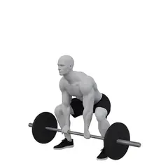 Barbell Sumo Deadlift demonstrated