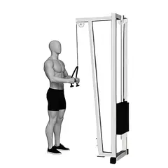 Cable Rope Triceps Pushdown demonstrated